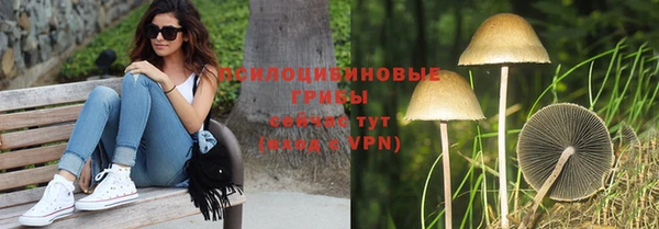 амфетамин Алексеевка