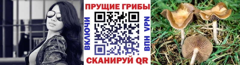 Галлюциногенные грибы MAGIC MUSHROOMS  Выкса 