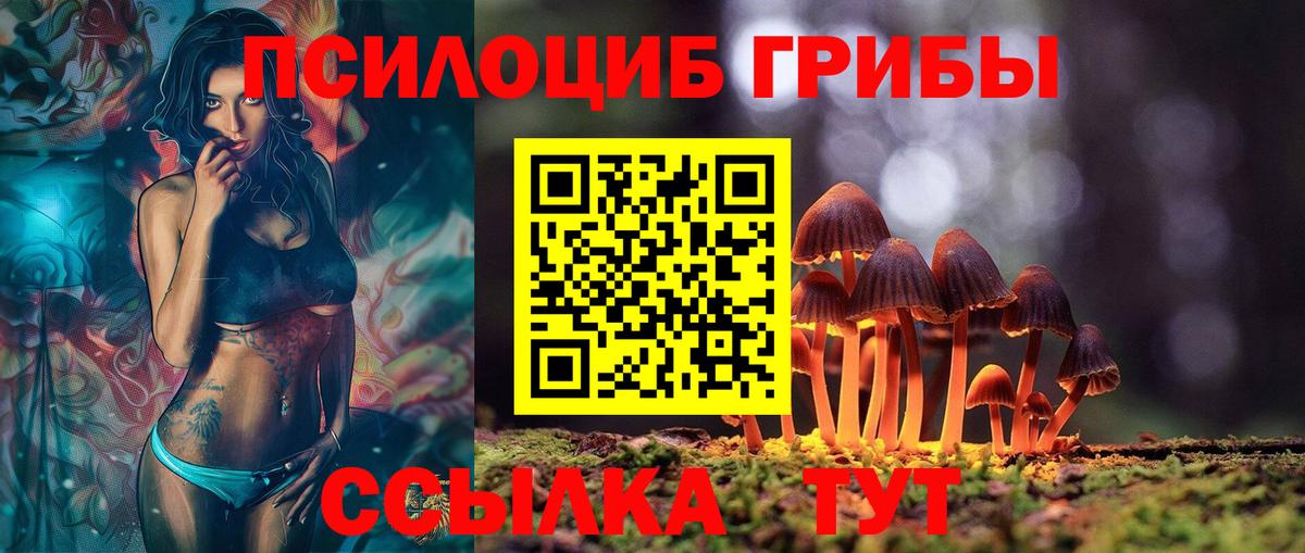 продажа наркотиков  Галлюциногенные грибы Magic Shrooms  Вход с VPN  Псилоцибиновые грибы ЛСД  Выкса 