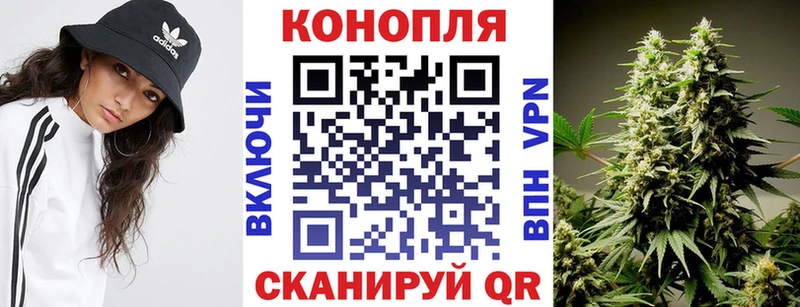 Марихуана сатива Выкса