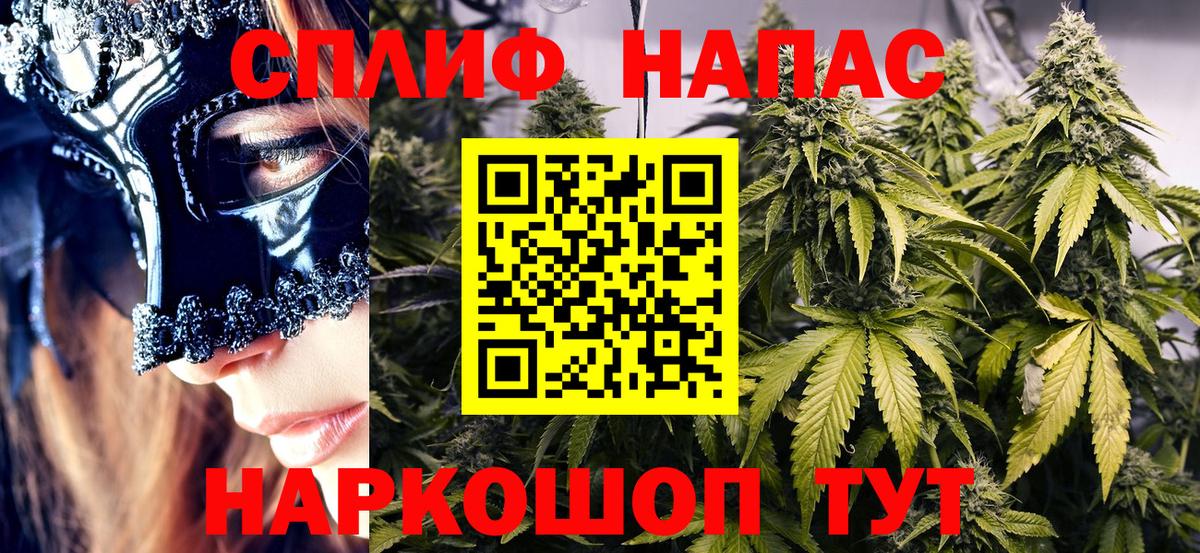 Каннабис MAZAR Выкса